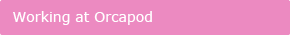 Work Culture at Orcapod